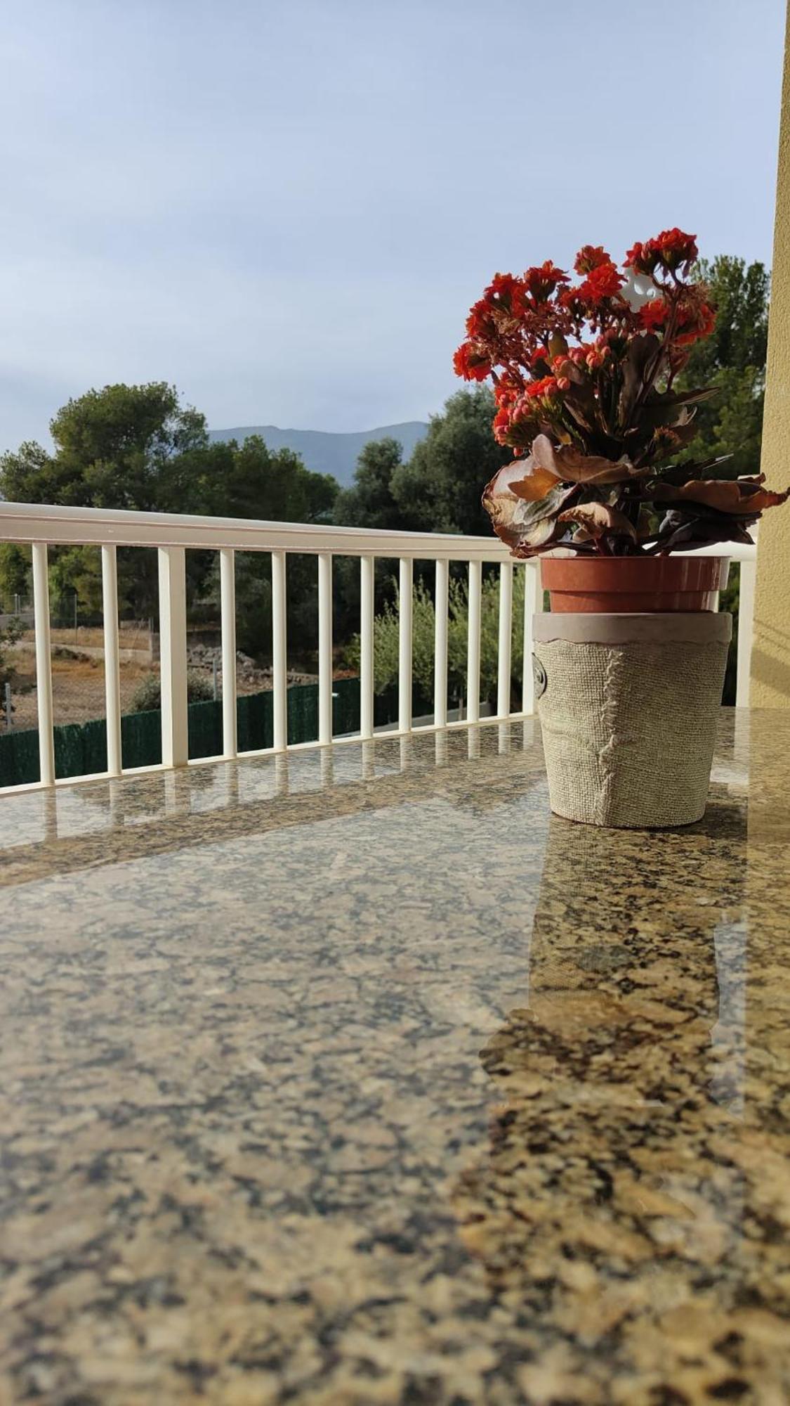 Apartamentos Montsia Mar Sant Carles De La Rapita Ngoại thất bức ảnh